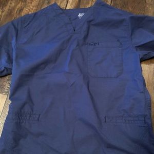 Iguana scrub top